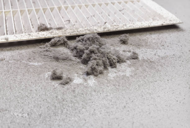Best HVAC Air Duct Cleaning  in Sun Prairie, MT